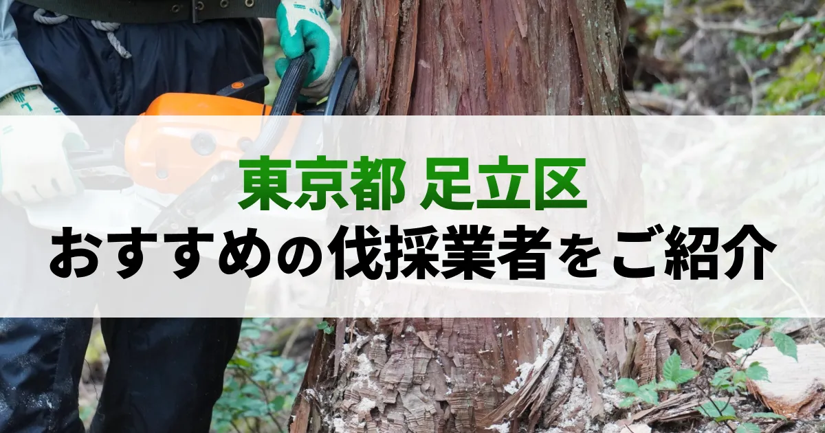 サムネイル（東京都足立区でおすすめの伐採業者をご紹介）
