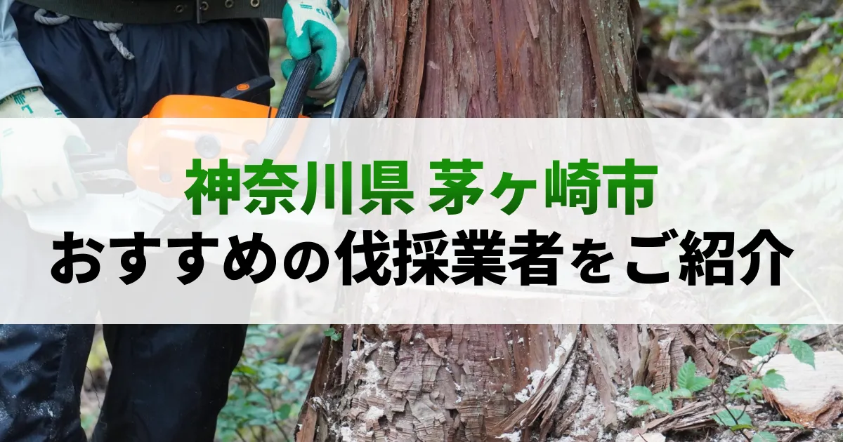 サムネイル（神奈川県茅ヶ崎市でおすすめの伐採業者をご紹介）