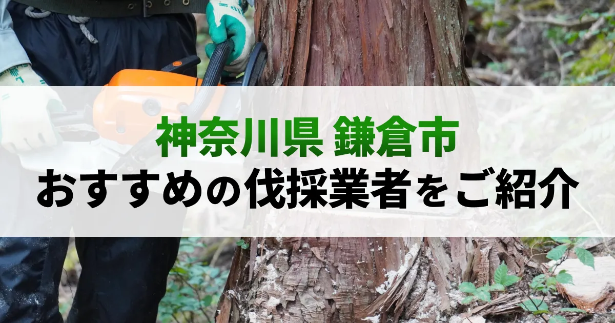 サムネイル（神奈川県鎌倉市でおすすめの伐採業者をご紹介）