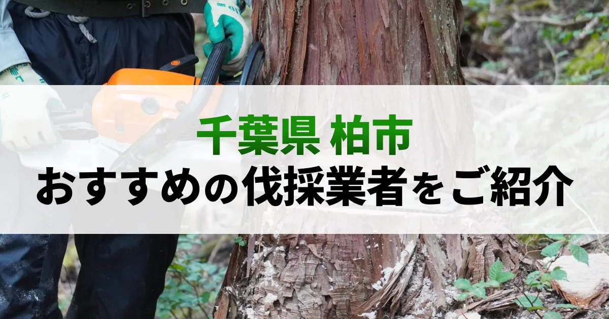 サムネイル（千葉県柏市でおすすめの伐採業者をご紹介）