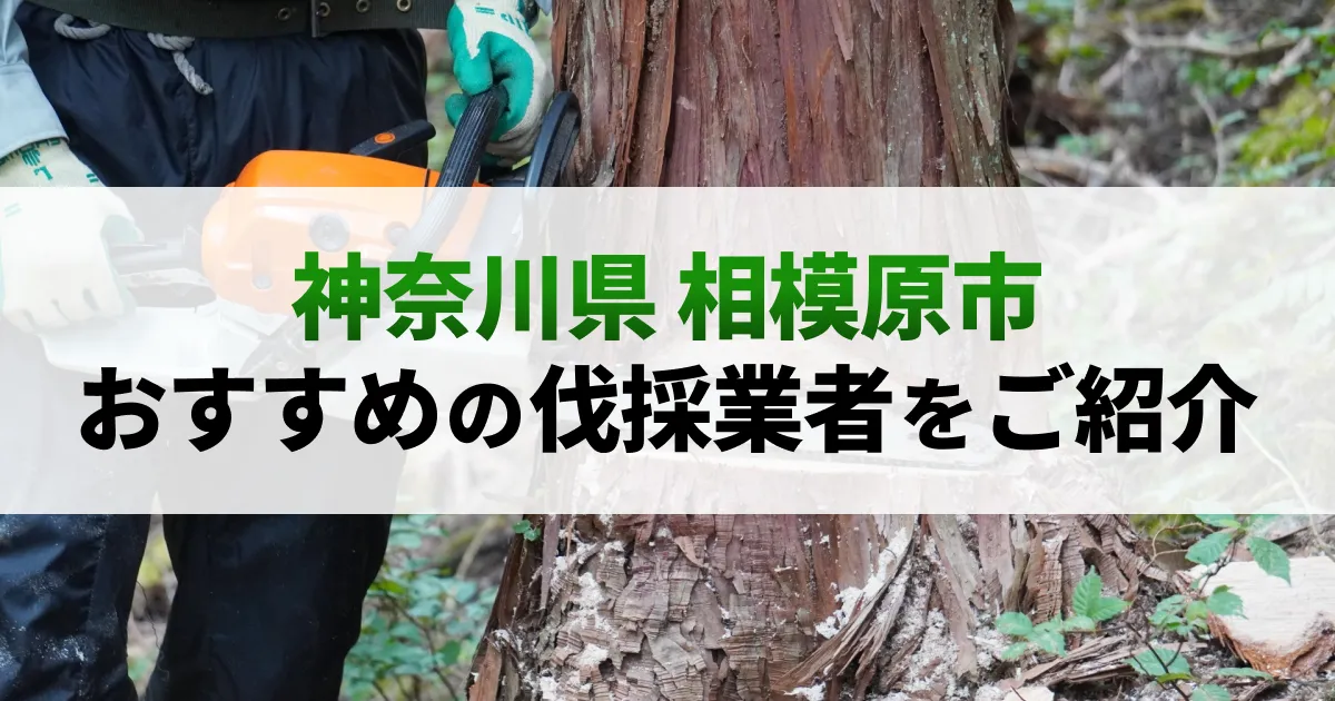 サムネイル（神奈川県相模原市でおすすめの伐採業者をご紹介）