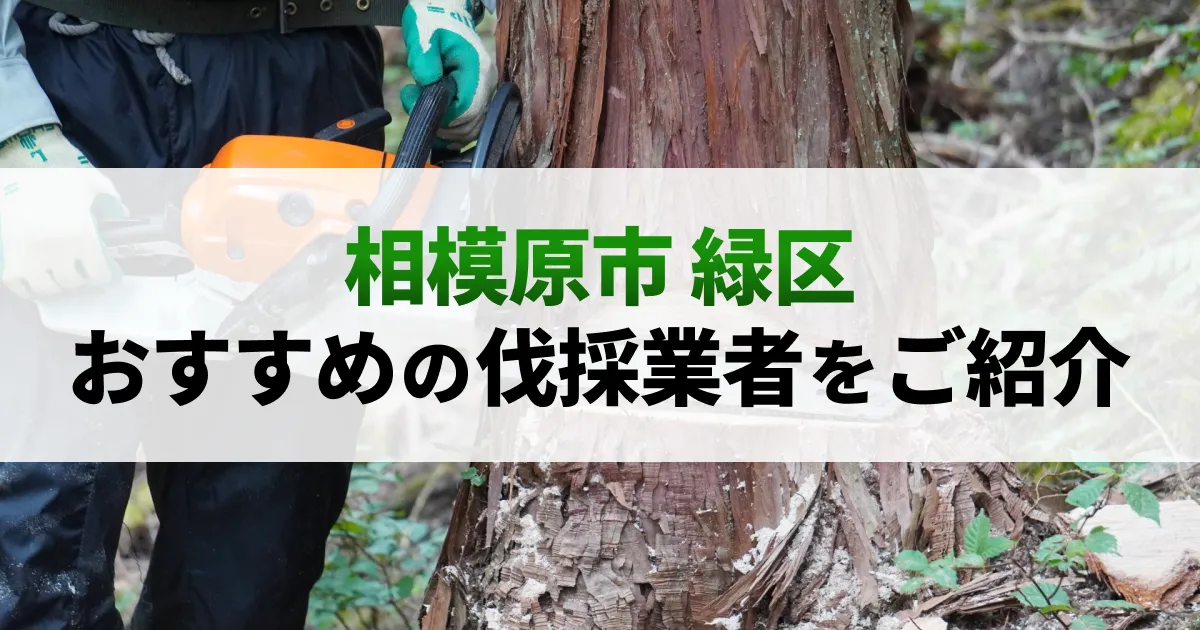 サムネイル（相模原市緑区でおすすめの伐採業者をご紹介）