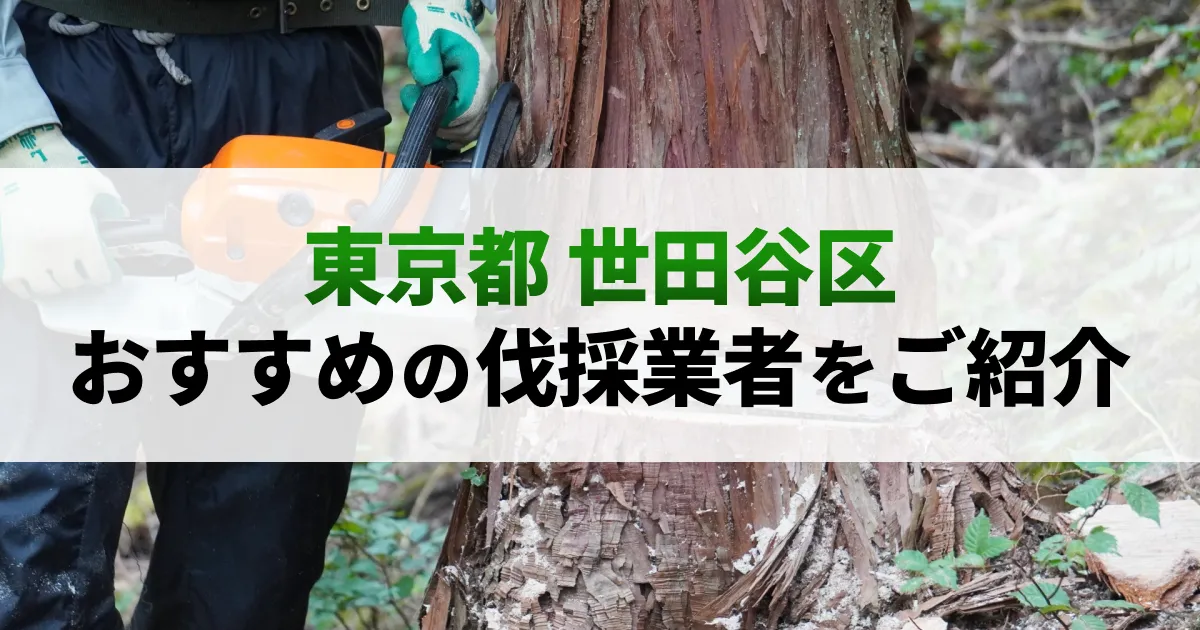 サムネイル（東京都世田谷区でおすすめの伐採業者をご紹介）