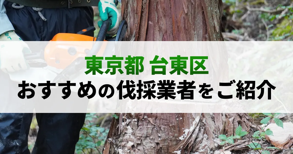 サムネイル（東京都台東区でおすすめの伐採業者をご紹介）